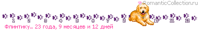 Флинтику