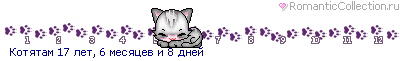 ����� Sabriel C...