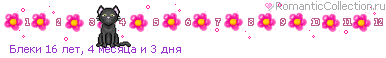 Качена снимка